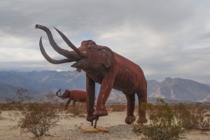 mammoth1