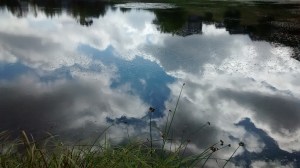 img_20160904_115036429