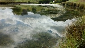 img_20160904_115259347