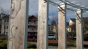 img_20170216_104423135