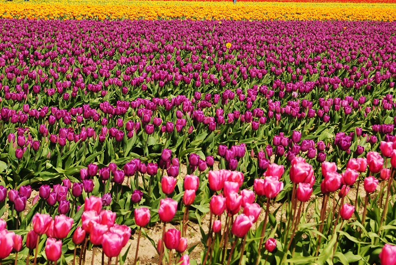 This image has an empty alt attribute; its file name is dsc_1094.jpg